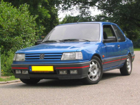 309GTI16.jpg